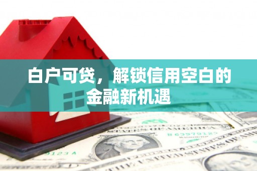 溆浦白户可贷，解锁信用空白的金融新机遇