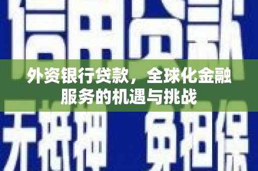 溆浦外资银行贷款，全球化金融服务的机遇与挑战