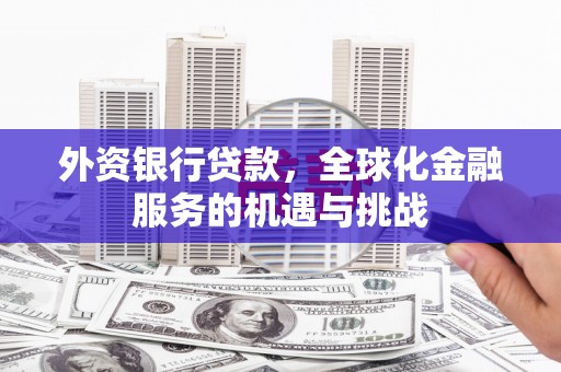 溆浦外资银行贷款，全球化金融服务的机遇与挑战