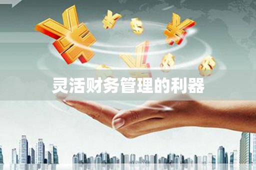 溆浦灵活财务管理的利器