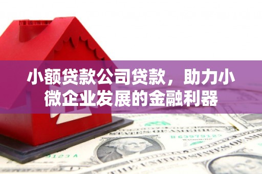 溆浦小额贷款公司贷款，助力小微企业发展的金融利器