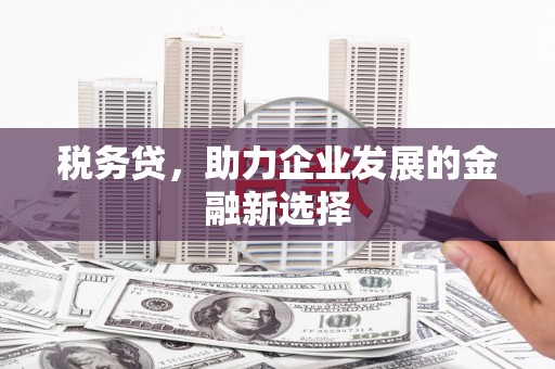 溆浦税务贷，助力企业发展的金融新选择