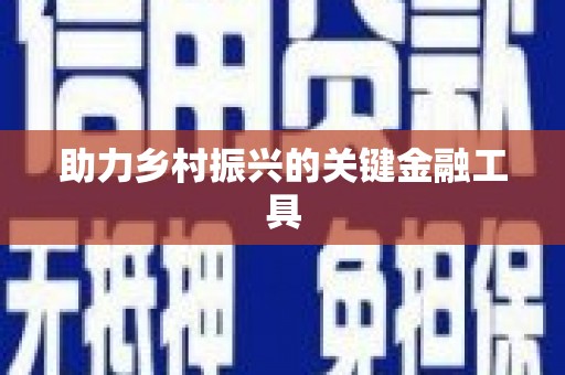 溆浦助力乡村振兴的关键金融工具