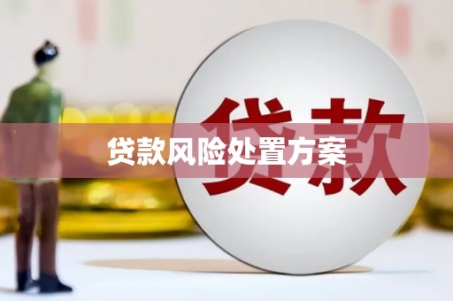溆浦贷款风险处置方案