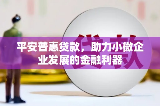 溆浦平安普惠贷款，助力小微企业发展的金融利器