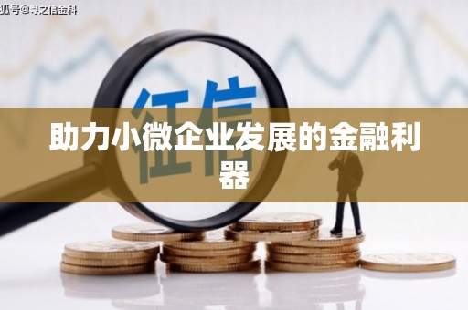 溆浦助力小微企业发展的金融利器