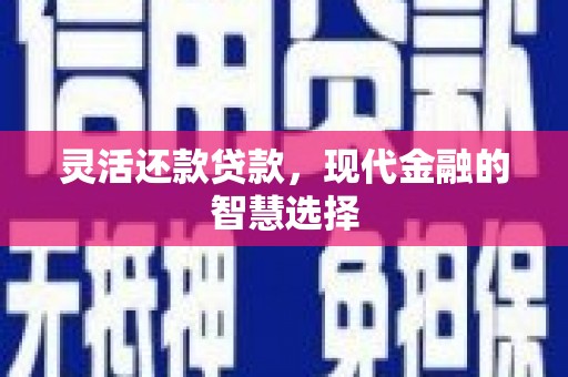 溆浦灵活还款贷款，现代金融的智慧选择