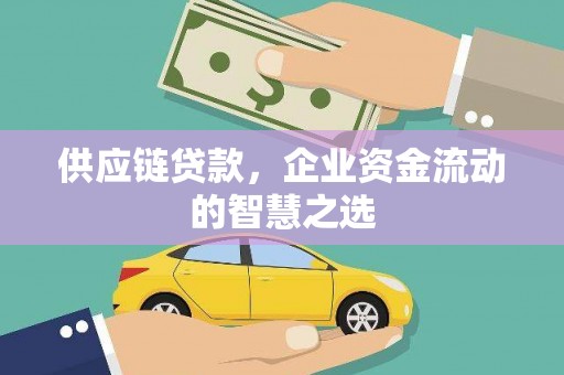 溆浦供应链贷款，企业资金流动的智慧之选