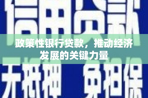 溆浦政策性银行贷款，推动经济发展的关键力量