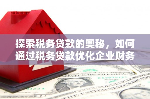 溆浦探索税务贷款的奥秘，如何通过税务贷款优化企业财务