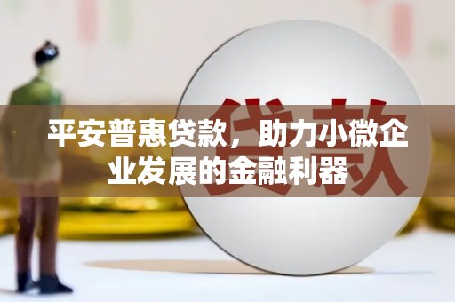 溆浦平安普惠贷款，助力小微企业发展的金融利器