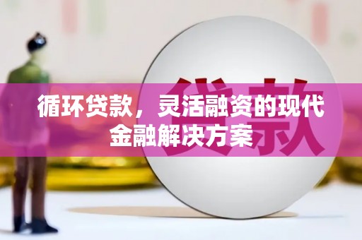 溆浦循环贷款，灵活融资的现代金融解决方案