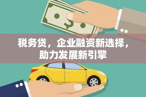 溆浦税务贷，企业融资新选择，助力发展新引擎