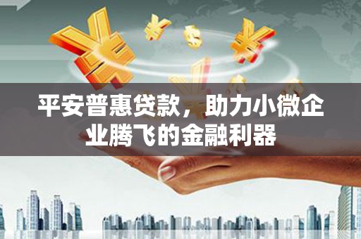 溆浦平安普惠贷款，助力小微企业腾飞的金融利器