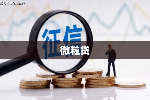 溆浦微粒贷