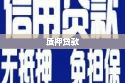 溆浦质押贷款