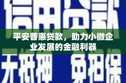 溆浦平安普惠贷款，助力小微企业发展的金融利器