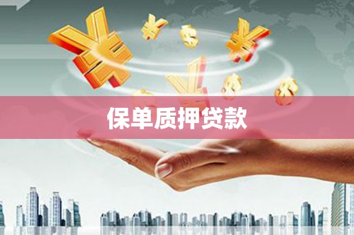 溆浦保单质押贷款