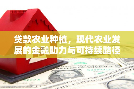 溆浦贷款农业种植，现代农业发展的金融助力与可持续路径