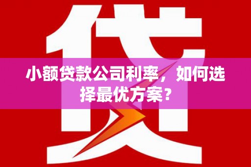 溆浦小额贷款公司利率，如何选择最优方案？