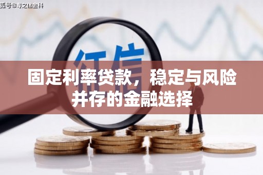 溆浦固定利率贷款，稳定与风险并存的金融选择