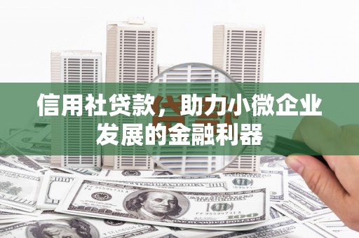 溆浦信用社贷款，助力小微企业发展的金融利器