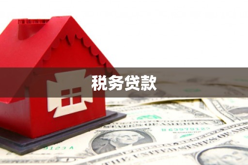 溆浦税务贷款