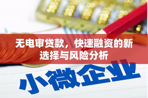 溆浦无电审贷款，快速融资的新选择与风险分析