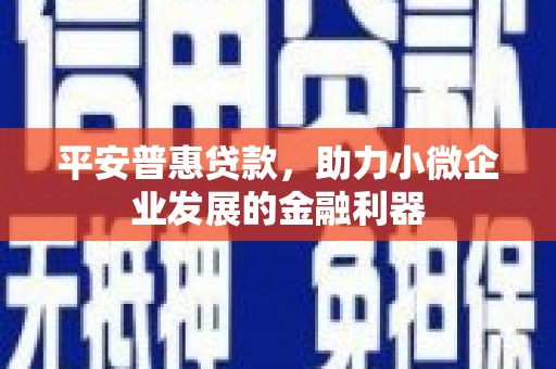 溆浦平安普惠贷款，助力小微企业发展的金融利器