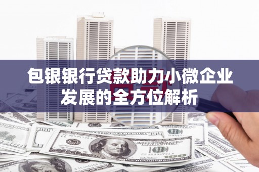 溆浦包银银行贷款助力小微企业发展的全方位解析