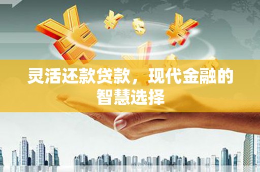 溆浦灵活还款贷款，现代金融的智慧选择