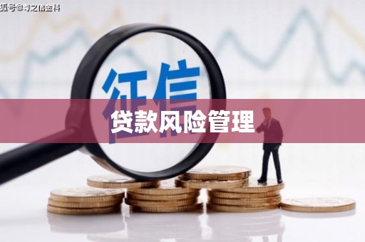 溆浦贷款风险管理