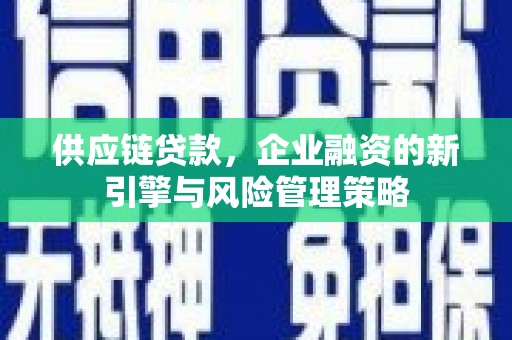 溆浦供应链贷款，企业融资的新引擎与风险管理策略