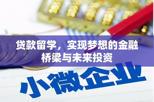溆浦贷款留学，实现梦想的金融桥梁与未来投资