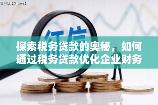 溆浦探索税务贷款的奥秘，如何通过税务贷款优化企业财务