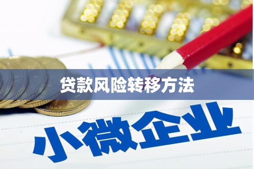 溆浦贷款风险转移方法