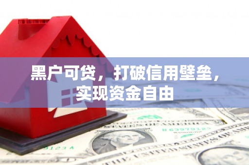 溆浦黑户可贷，打破信用壁垒，实现资金自由