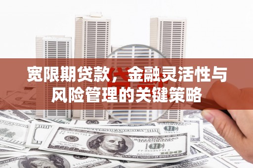 溆浦宽限期贷款，金融灵活性与风险管理的关键策略