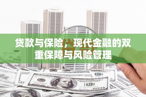 溆浦贷款与保险，现代金融的双重保障与风险管理