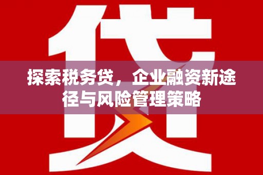 溆浦探索税务贷，企业融资新途径与风险管理策略