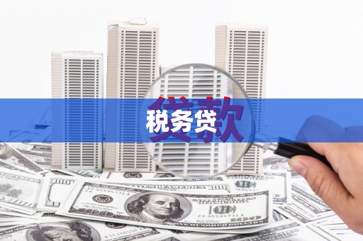 溆浦税务贷