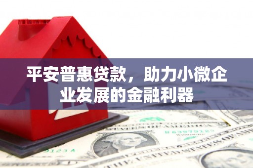 溆浦平安普惠贷款，助力小微企业发展的金融利器