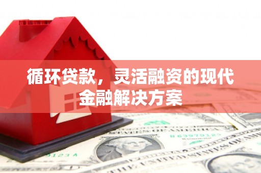 溆浦循环贷款，灵活融资的现代金融解决方案