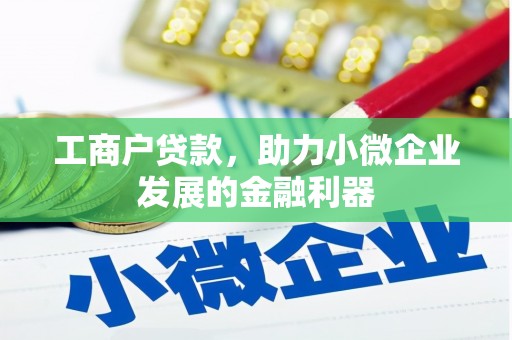 溆浦工商户贷款，助力小微企业发展的金融利器