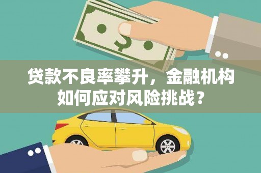 溆浦贷款不良率攀升，金融机构如何应对风险挑战？