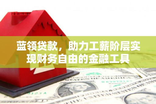 溆浦蓝领贷款，助力工薪阶层实现财务自由的金融工具