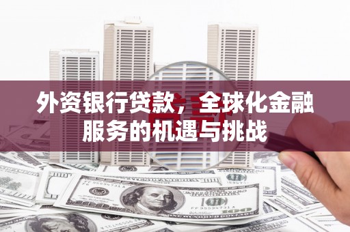 溆浦外资银行贷款，全球化金融服务的机遇与挑战