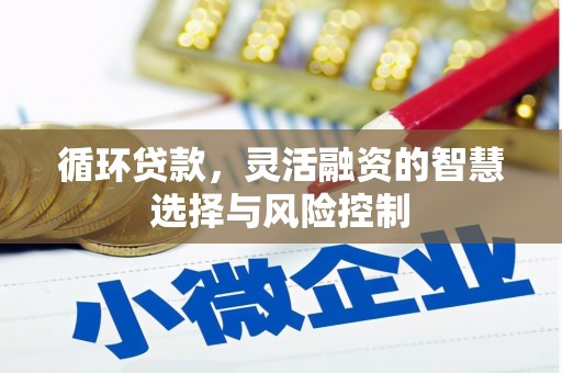 溆浦循环贷款，灵活融资的智慧选择与风险控制