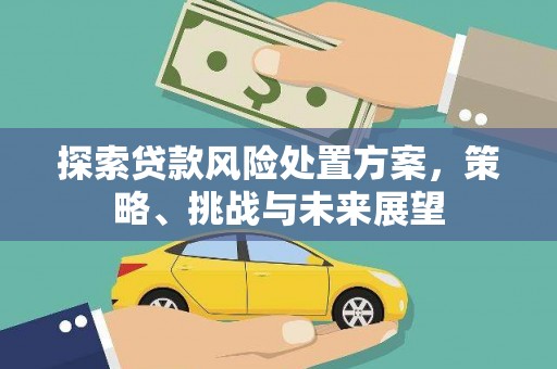 溆浦探索贷款风险处置方案，策略、挑战与未来展望