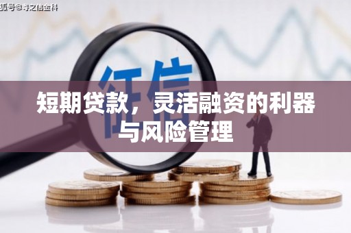 溆浦短期贷款，灵活融资的利器与风险管理